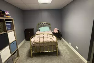 944 Cynthia Ln, Lake in the Hills, IL 60156 - Photo 18