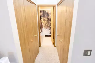 922 Little Falls Ct, Elk Grove Village, IL 60007 - Photo 16