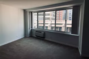 211 E Ohio St, Chicago, IL 60611 - Photo 6