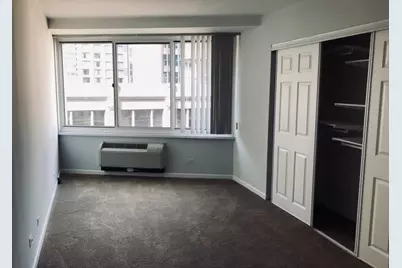 211 E Ohio Street #1102, Chicago, IL 60611 - Photo 4