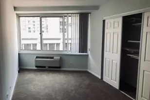 211 E Ohio St, Chicago, IL 60611 - Photo 4