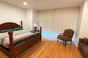 338 E 25th Pl, Chicago, IL 60616 - Photo 20