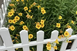 7934 Lotus Ave, Morton Grove, IL 60053 - Photo 26