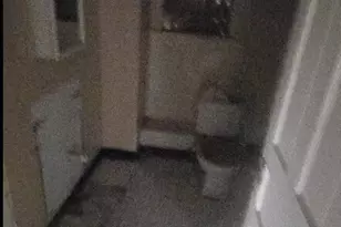 328 W 106th Pl, Chicago, IL 60628 - Photo 6