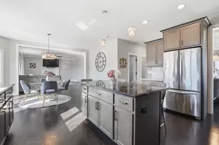 13931 W Wilderness Lakes Dr, Manhattan, IL 60442 - Photo 6