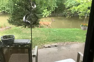 1S055 Spring Rd, Oakbrook Terrace, IL 60181 - Photo 16