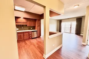 100 S Emerson St, Mount Prospect, IL 60056 - Photo 2