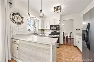 12805 S Elaine Dr, Plainfield, IL 60585 - Photo 2