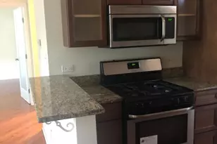 1533 W Hollywood Ave, Chicago, IL 60660 - Photo 6