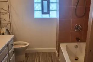 3841 S Lowe Ave, Chicago, IL 60609 - Photo 38