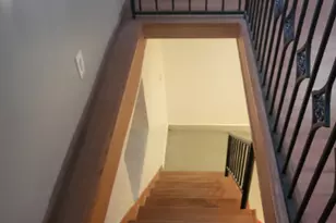 3841 S Lowe Ave, Chicago, IL 60609 - Photo 18