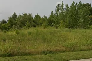 4541 Waa-Kee-Sha Dr, Oswego, IL 60543 - Photo 1