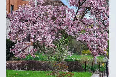 5720 S Dorchester Avenue, Chicago, IL 60637 - Photo 40