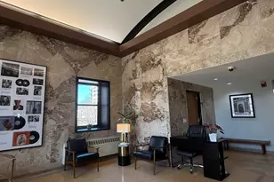 320 E 21st St, Chicago, IL 60616 - Photo 36