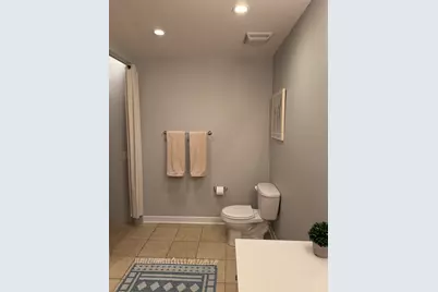 320 E 21st Street #411, Chicago, IL 60616 - Photo 28