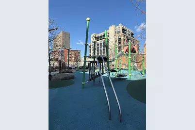 320 E 21st Street #411, Chicago, IL 60616 - Photo 34