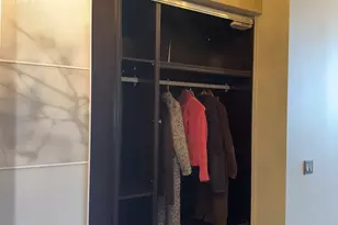 320 E 21st St, Chicago, IL 60616 - Photo 26