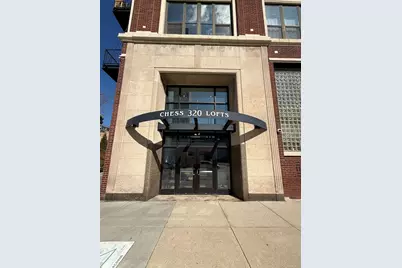 320 E 21st Street #411, Chicago, IL 60616 - Photo 2
