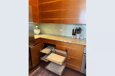 320 E 21st Street #411, Chicago, IL 60616 - Photo 8