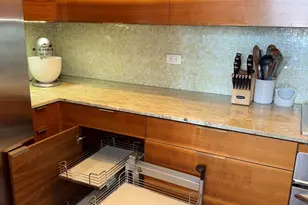 320 E 21st St, Chicago, IL 60616 - Photo 8