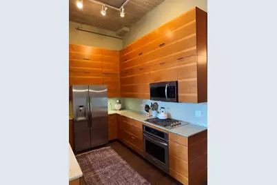 320 E 21st Street #411, Chicago, IL 60616 - Photo 4