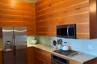 320 E 21st St, Chicago, IL 60616 - Photo 4