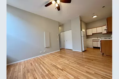 556 W 37th Street #3F, Chicago, IL 60609 - Photo 4