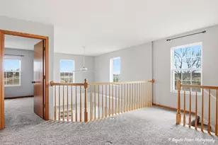 323 S Litchfield Dr, Round Lake, IL 60073 - Photo 14