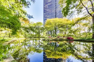 505 N Lake Shore Dr, Chicago, IL 60611 - Photo 58