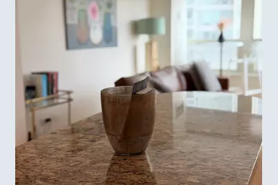 600 N Kingsbury Street #1006, Chicago, IL 60654 - Photo 12