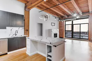 1133 S Wabash Ave, Chicago, IL 60605 - Photo 12