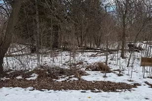 1601 Faithorn Ave, Crete, IL 60417 - Photo 1