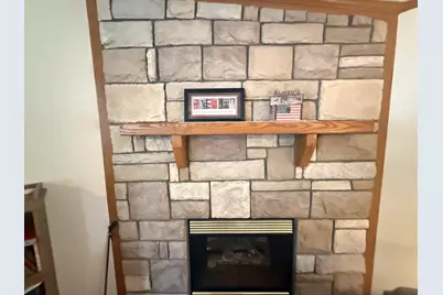 25807 S Doral Drive, Monee, IL 60449 - Photo 16