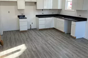 929 Covey Lane, Coal City, IL 60416 - Photo 4