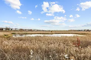 786 Bohannon Cir, Oswego, IL 60543 - Photo 30