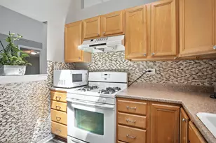 28629 W Ravine Dr, Barrington, IL 60010 - Photo 10
