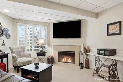 890 Shoreline Road, Lake Barrington, IL 60010 - Photo 26