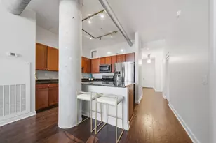 720 N Larrabee St, Chicago, IL 60654 - Photo 12