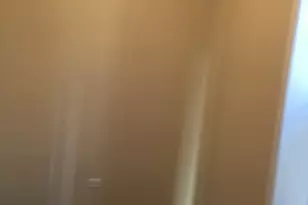 321 W 24th St, Chicago, IL 60616 - Photo 10