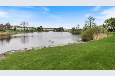 236 N Waterford Drive, Schaumburg, IL 60194 - Photo 28