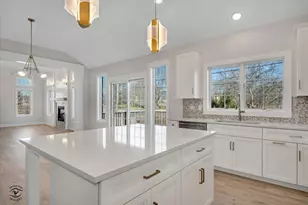 20336 Mackinac Point Dr, Frankfort, IL 60423 - Photo 22