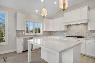 20336 Mackinac Point Dr, Frankfort, IL 60423 - Photo 10