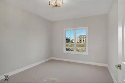 20336 Mackinac Point Drive, Frankfort, IL 60423 - Photo 38