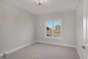 20336 Mackinac Point Dr, Frankfort, IL 60423 - Photo 38