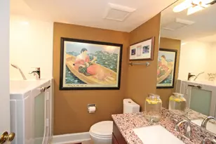 328 Indian Point, Lake Barrington, IL 60010 - Photo 52