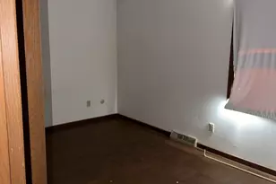 509 N Park Ave, Aurora, IL 60506 - Photo 10