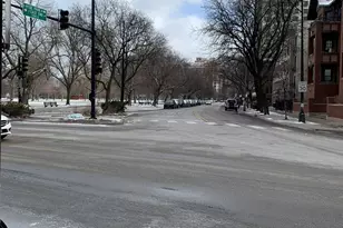 5050 S East End Ave, Chicago, IL 60615 - Photo 4