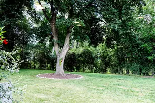 1920 N Washington St, Wheaton, IL 60187 - Photo 50