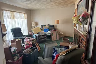 100 Hazelwood Dr, Wyanet, IL 61379 - Photo 14