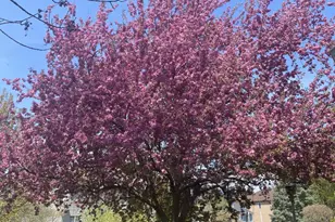 3719 Falkner Dr, Naperville, IL 60564 - Photo 40